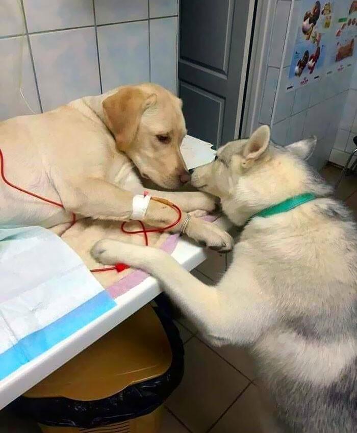 https://kak2z.ru/my_img/img/2021/12/04/eb1ed.jpg