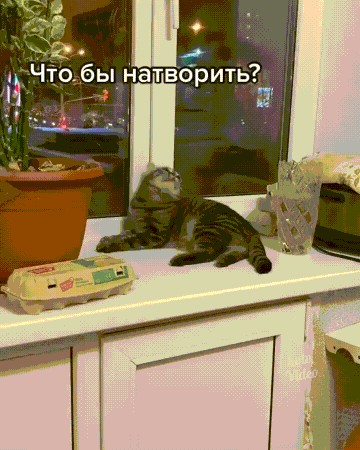 https://kak2z.ru/my_img/img/2021/12/08/9a187.gif