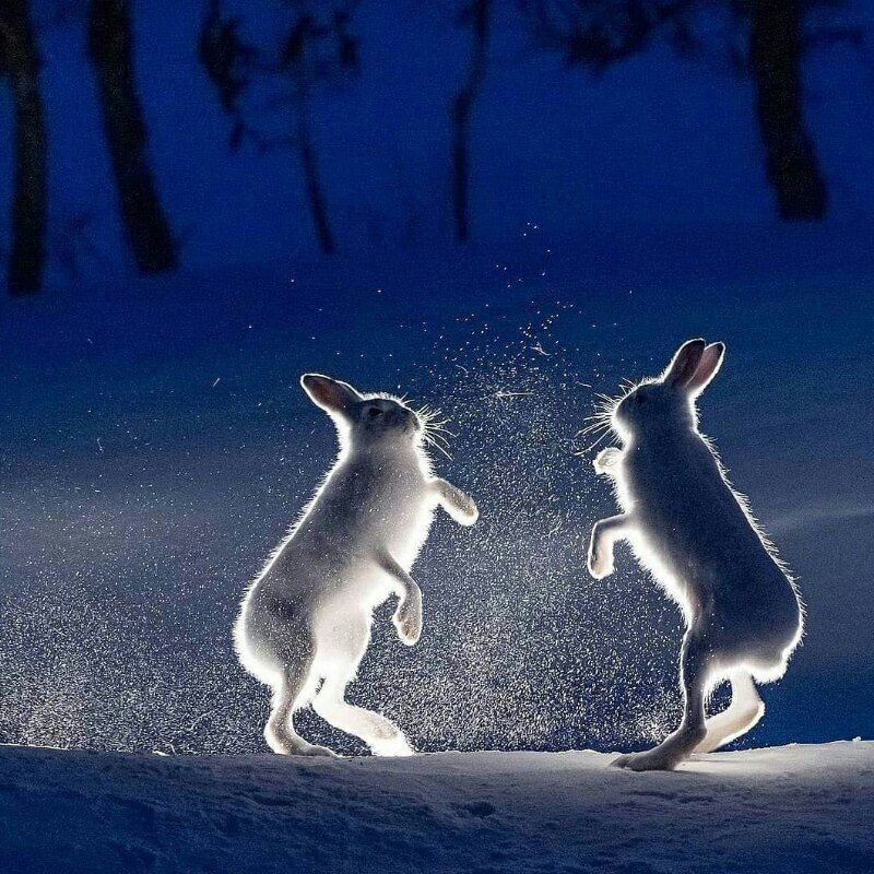 https://kak2z.ru/my_img/img/2021/12/12/41864.png
