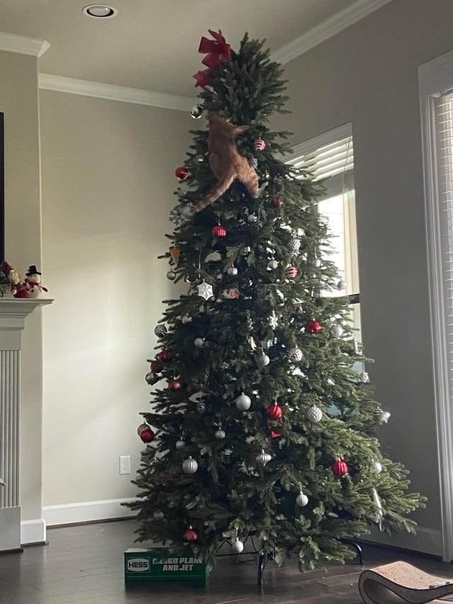 https://kak2z.ru/my_img/img/2021/12/16/08ba0.jpg