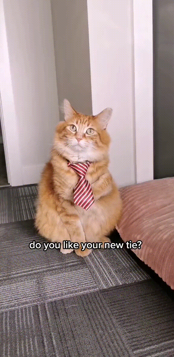 https://kak2z.ru/my_img/img/2021/12/18/5cefd.gif