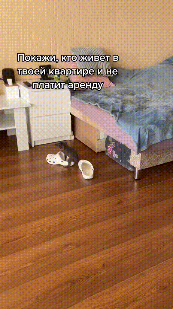 https://kak2z.ru/my_img/img/2021/12/19/dcde0.gif