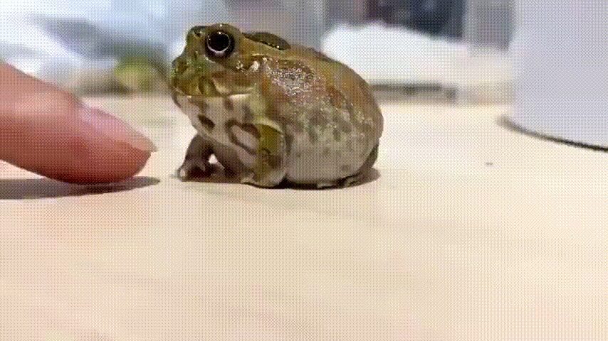 https://kak2z.ru/my_img/img/2021/12/20/d57ff.gif