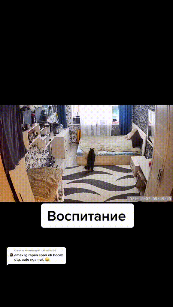 https://kak2z.ru/my_img/img/2021/12/27/534bc.gif