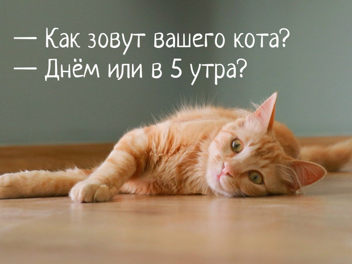 https://kak2z.ru/my_img/img/2022/01/30/0fcae.png
