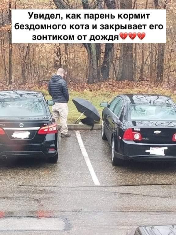 https://kak2z.ru/my_img/img/2022/01/30/c0fb1.jpg