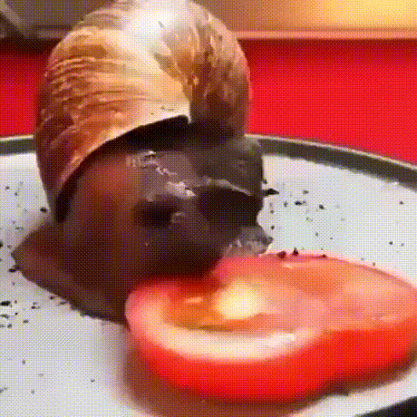 https://kak2z.ru/my_img/img/2022/02/03/a0637.gif