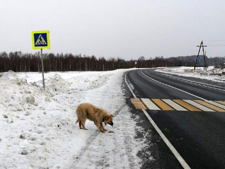 https://kak2z.ru/my_img/img/2022/02/17/14e1b.jpg