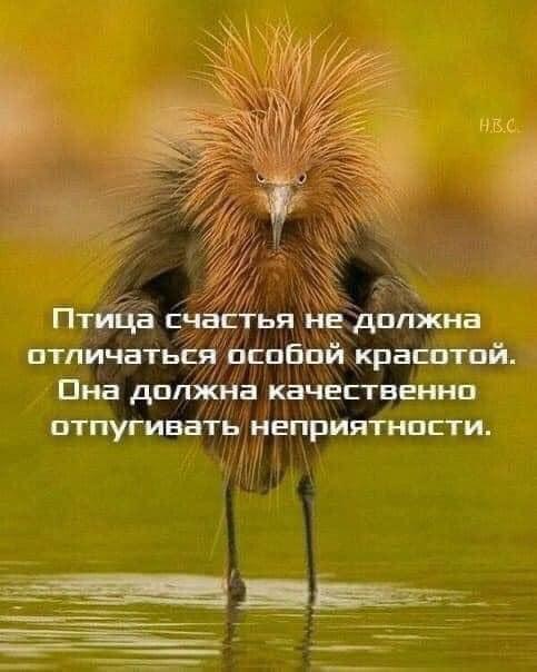 https://kak2z.ru/my_img/img/2022/02/18/a099b.jpg