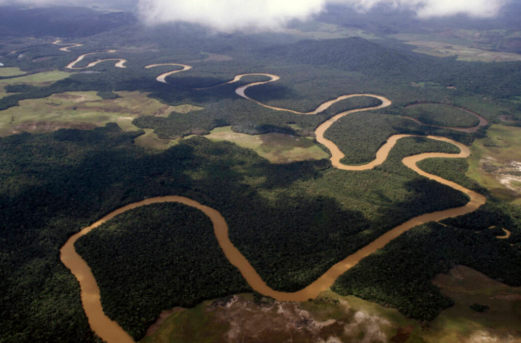 Река амазонка сверху