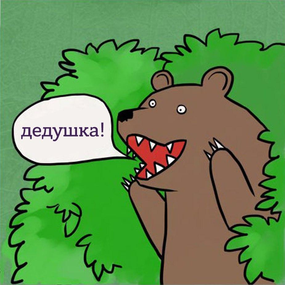 Медведь из за кустов картинка