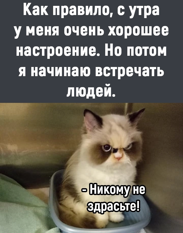 Просто субботняя ржака - Юмор, болталка, флудилка, игровая