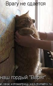 Картина врагу не сдается наш гордый варяг. Врагу не сдаётся наш гордый варяг. Врагу не сдаётся наш. Врагу не сдает. Врагу не сдает.