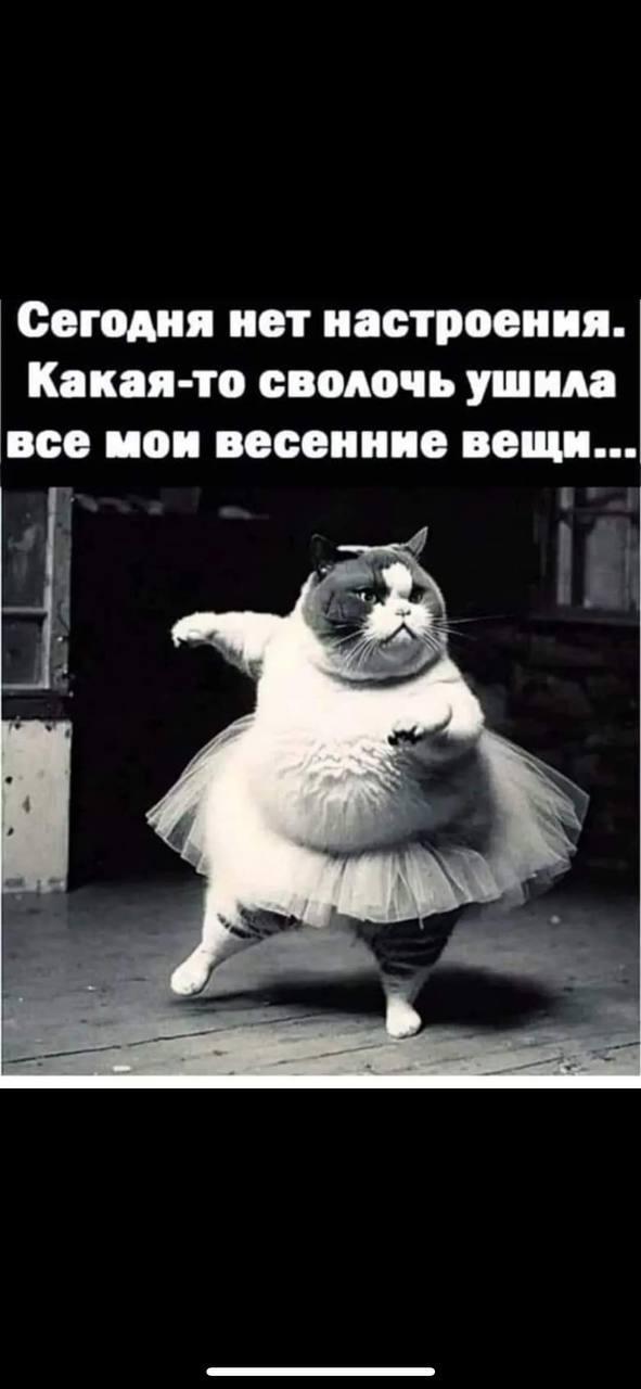 Пора худеть к лету