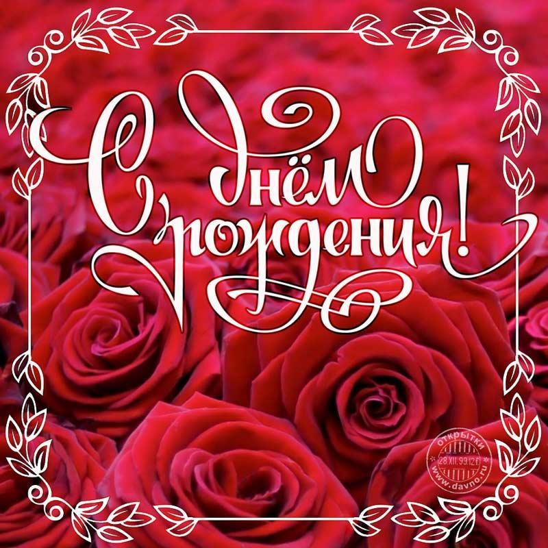 С день рождения поздравления розы