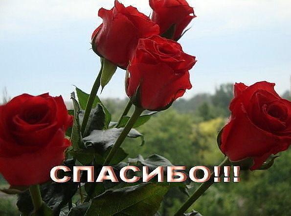Букет спасибо