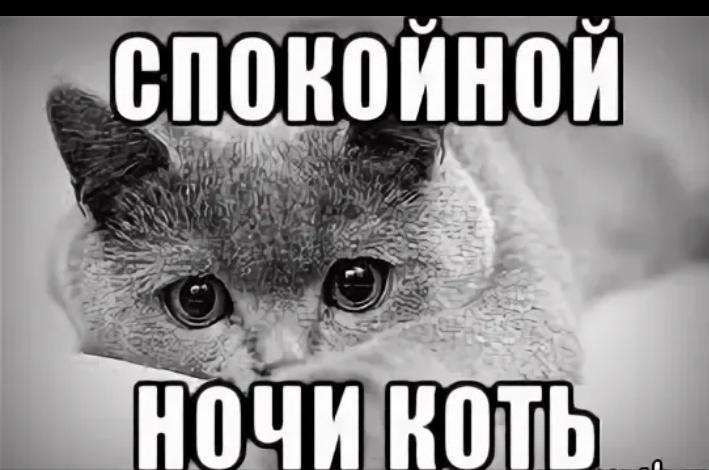 Спокойной ночи моя девочка червяк мем скачать