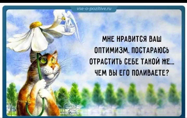 Оптимизм чувство