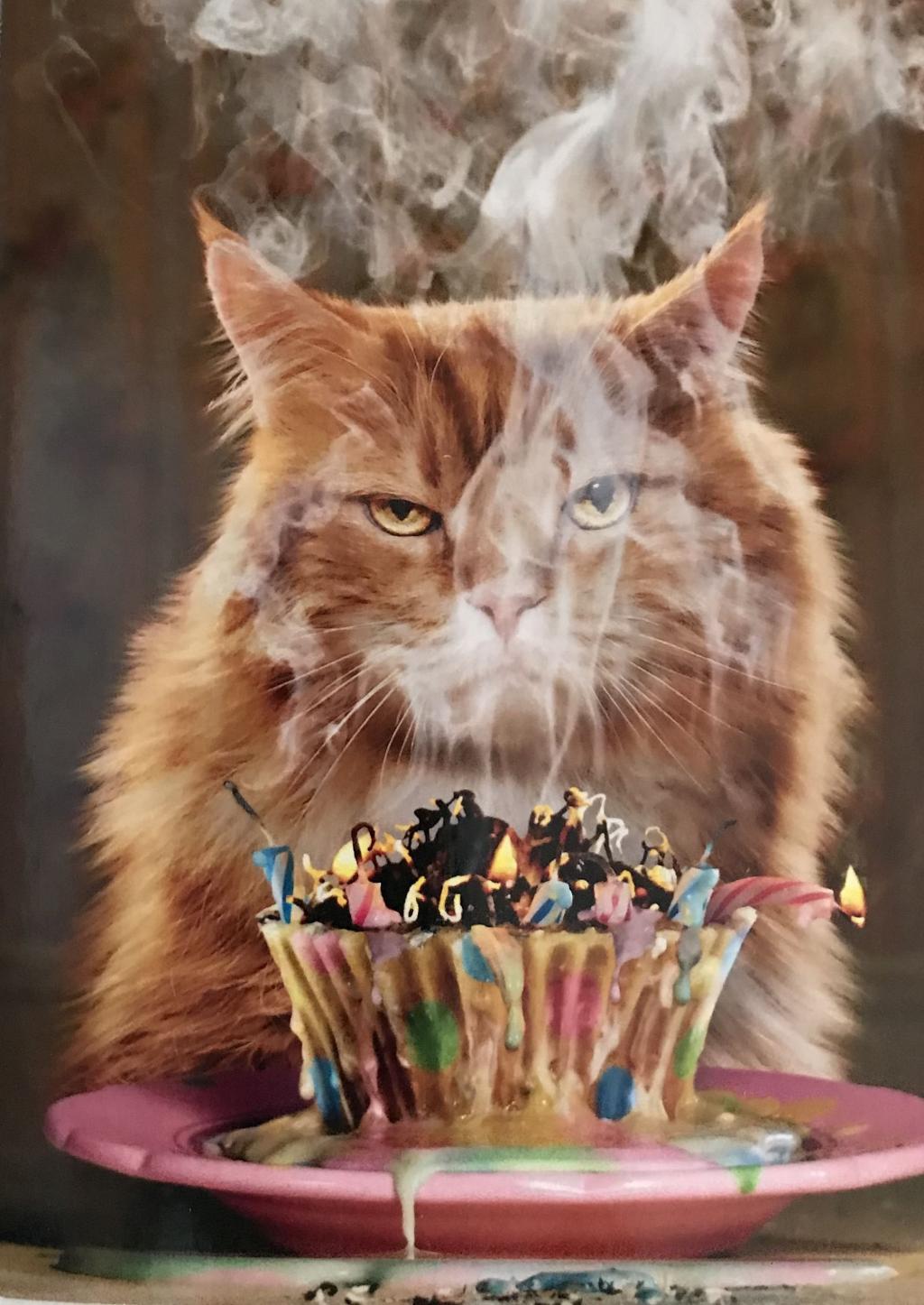 С днем рождения котик