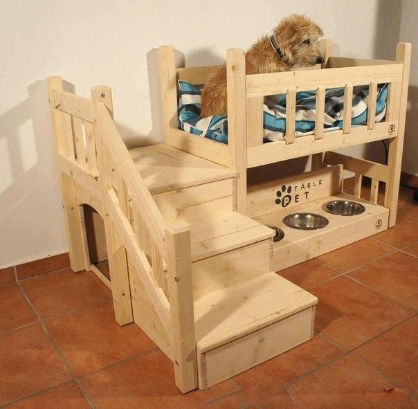 http://kak2z.ru/my_tagimg/img/2015/04/25/8ec1a.jpg