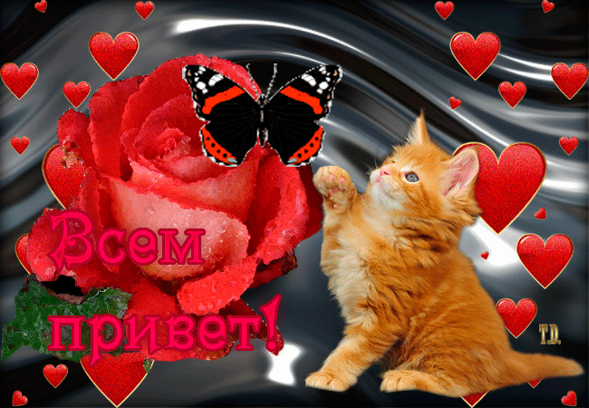 http://kak2z.ru/my_tagimg/img/2015/04/25/bbd75.gif