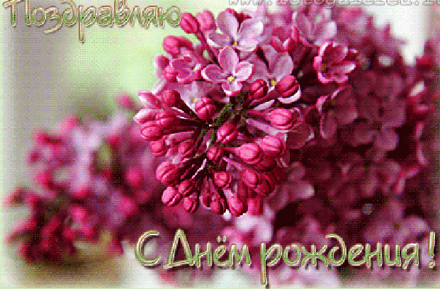 С днем рождения открытка сирень, для детей 90х