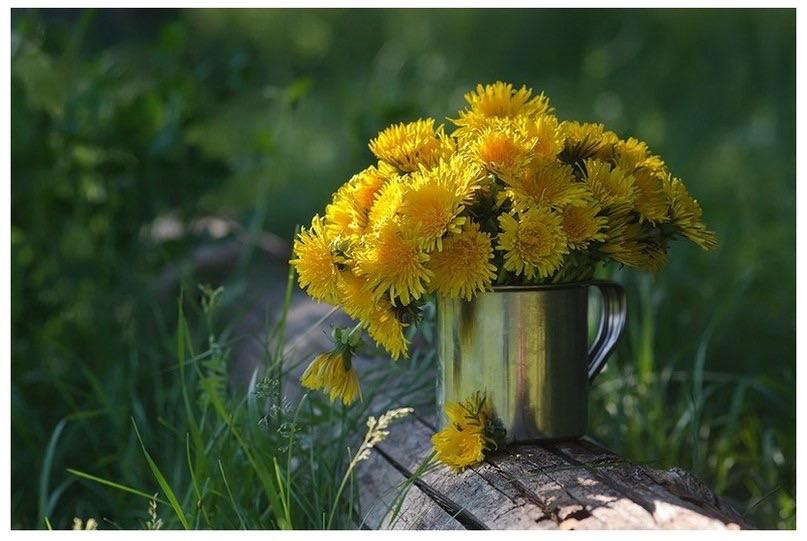 Картинки с добрым утром с одуванчиками с надписями