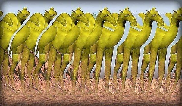 Тесты Тесты